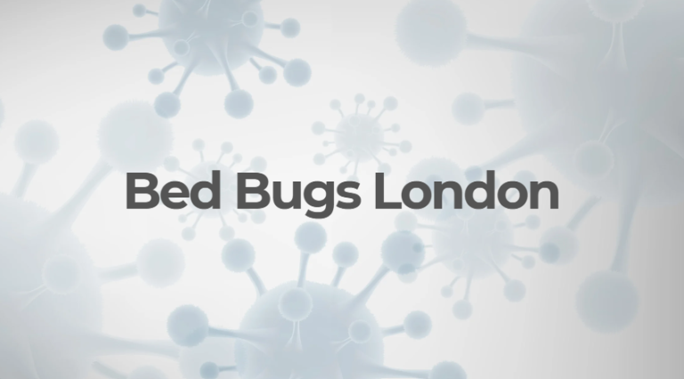 Bed Bugs London
